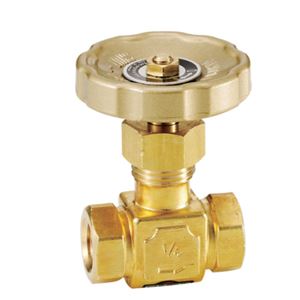 FUJIKIN富士金止回阀DH-12C-R杨：18105608753