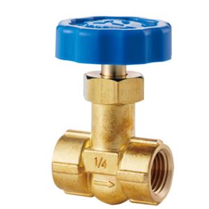 FUJIKIN富士金黄铜制针形止回阀DS-11A-R杨：18105608753