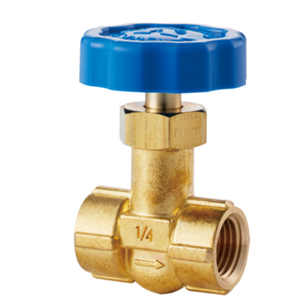 FUJIKIN富士金黄铜制针形止回阀DS-11A-R杨：18105608753