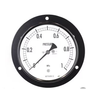 NAGANO长野计器压力表 AE15-231杨：18105608753