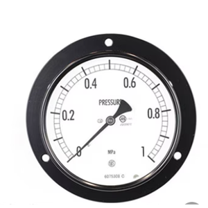 NAGANO长野计器压力表 AE15-231杨：18105608753