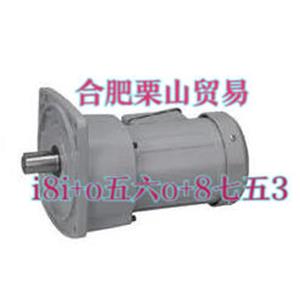 GTR日精平行轴（0.1kW-2.2kW）减速电机GAL50N600-MM04TNNTN杨：181-0560-8753