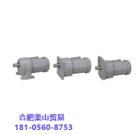 NISSEI 日精（GTR）平行轴脚装齿轮减速电机G3L22N20-CN04TCCTN杨：181-0560-8753