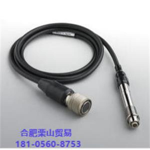 KETT凯特L‑500 整机EP‑100 铁用直型电磁探头杨：181-0560-8753