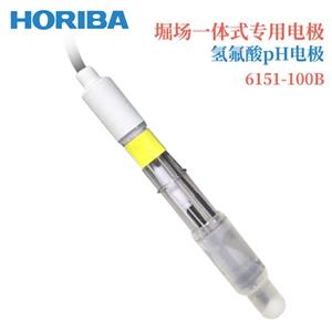 HORIBA堀场6110-100B工业用PH电极
